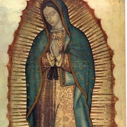 Silvia De León