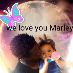 Marley Whipset