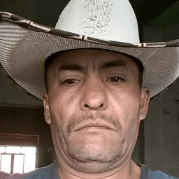 Alfredo Rodriguez